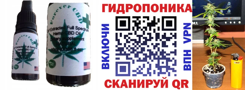 Купить закладки  Олонец  Canna-Cookies марихуана 