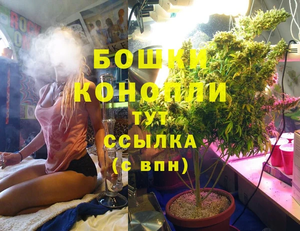 Альфа ПВП Майский
