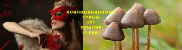 Альфа ПВП Майский