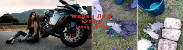 mdpv Магадан