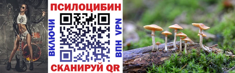 Псилоцибиновые грибы GOLDEN TEACHER  Купить где  Олонец 